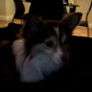 Meet your Posher, Leticia